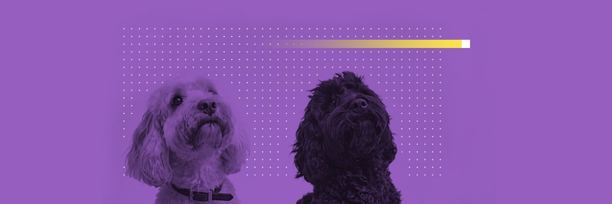ge_olaru's profile banner image