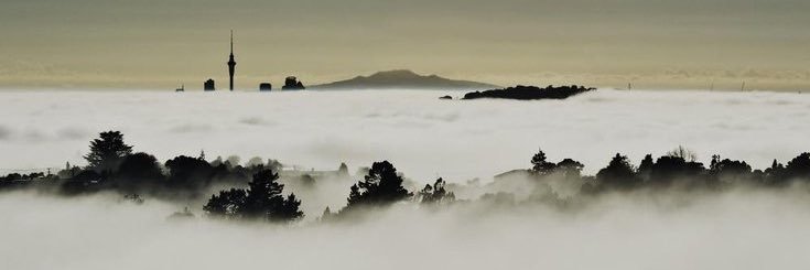 Riccardo Ball banner