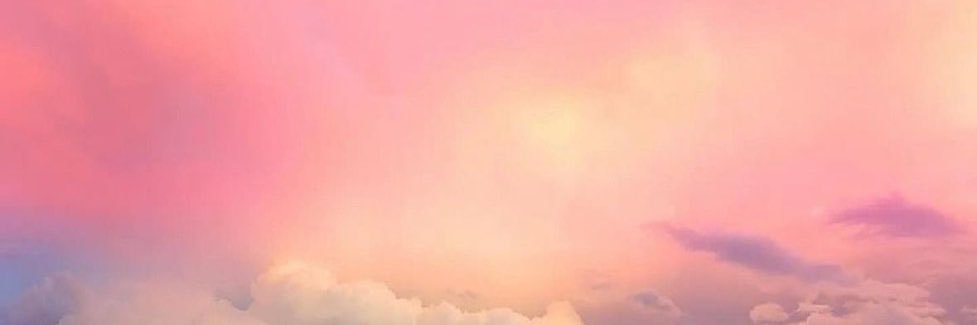 BlancTulipe's profile banner image