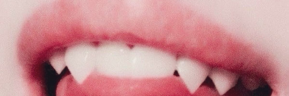 Dev 🏳️‍⚧️ banner