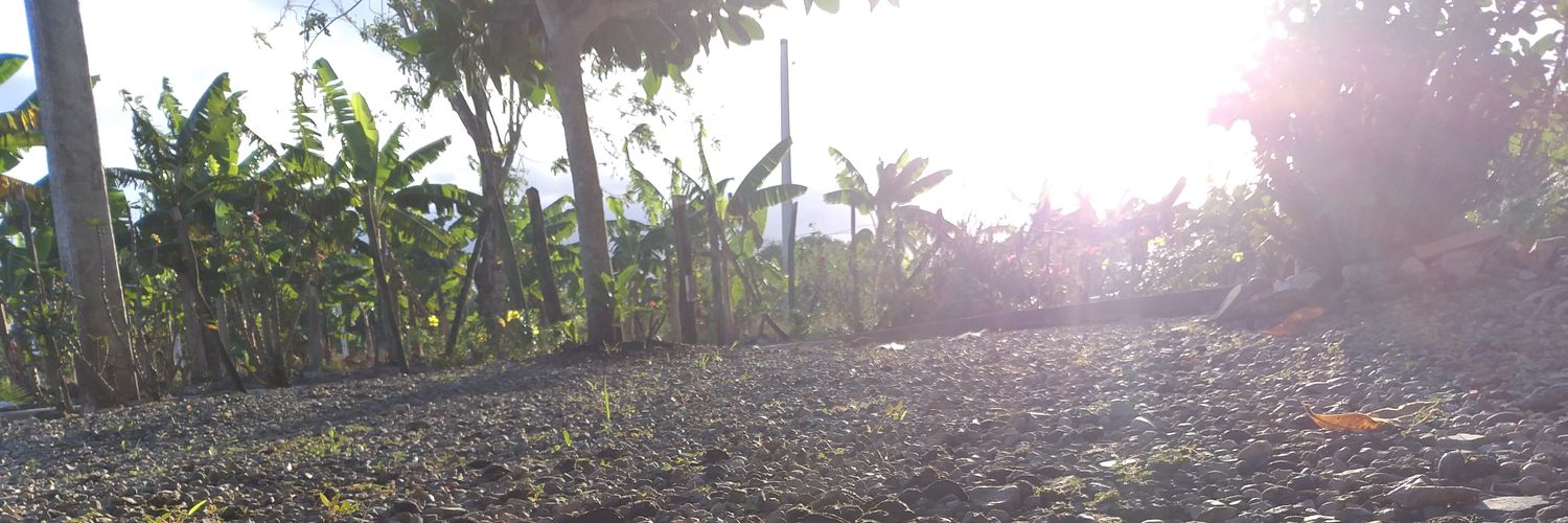 autumsteps's profile banner image