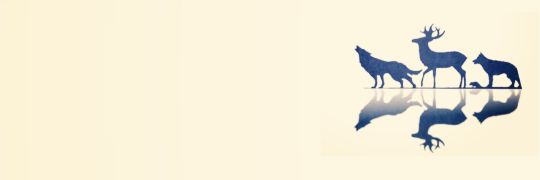 DetectivePizza's profile banner image