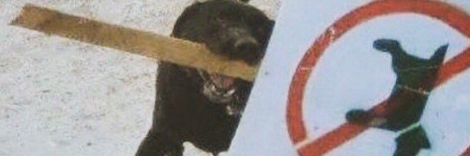 curioni_'s profile banner image