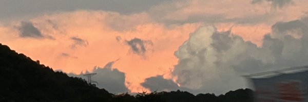 maruinuu Profile Banner