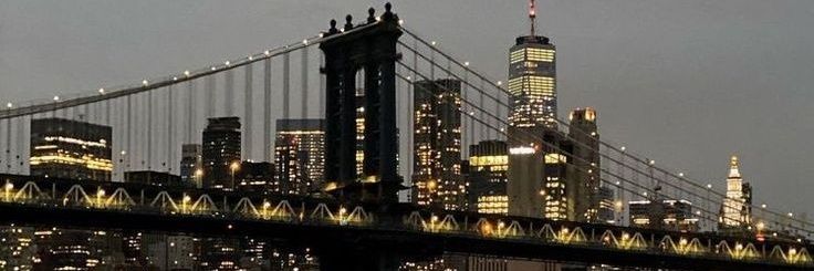 Lobo sociedad banner