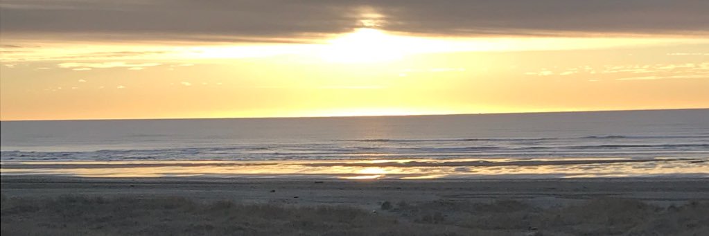 ngaines11's profile banner image