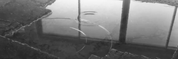 follo_tunito Profile Banner