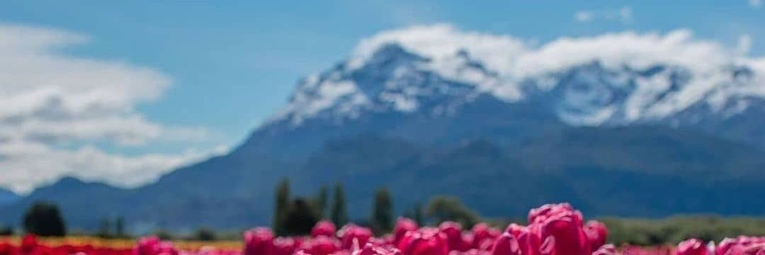 KristinJTalley's profile banner image
