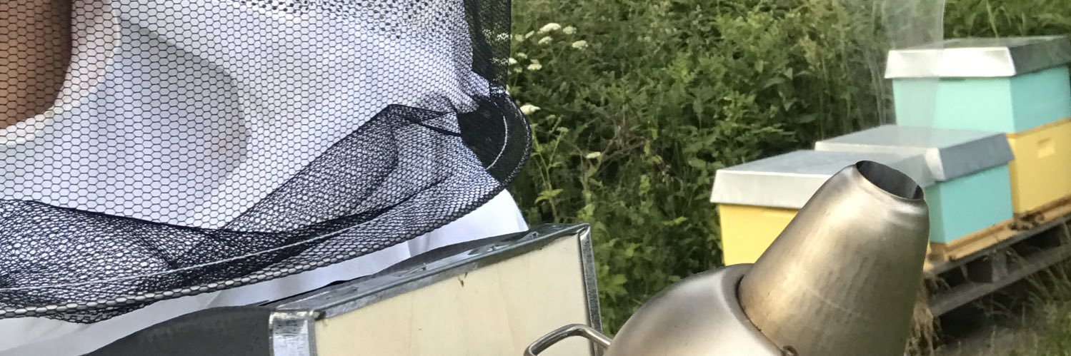 lindames's profile banner image