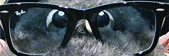 ratfans.com banner