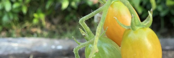 aguscherriok Profile Banner