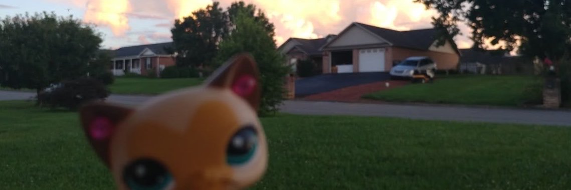 spweyu's profile banner image