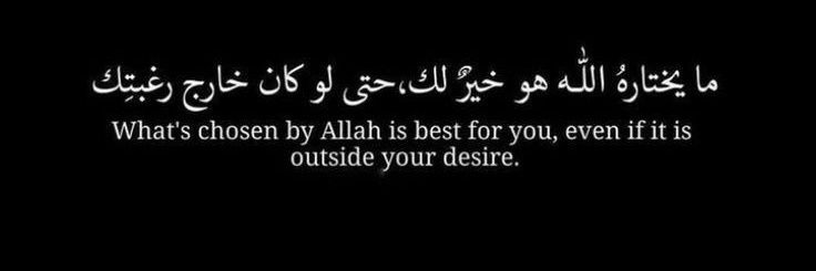 _Hafsa_m's profile banner image