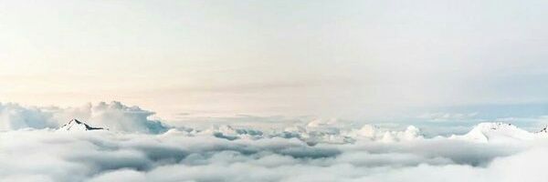 MoniQue_ScheuR's profile banner image