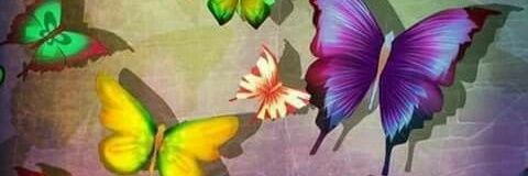 liz_emc's profile banner image