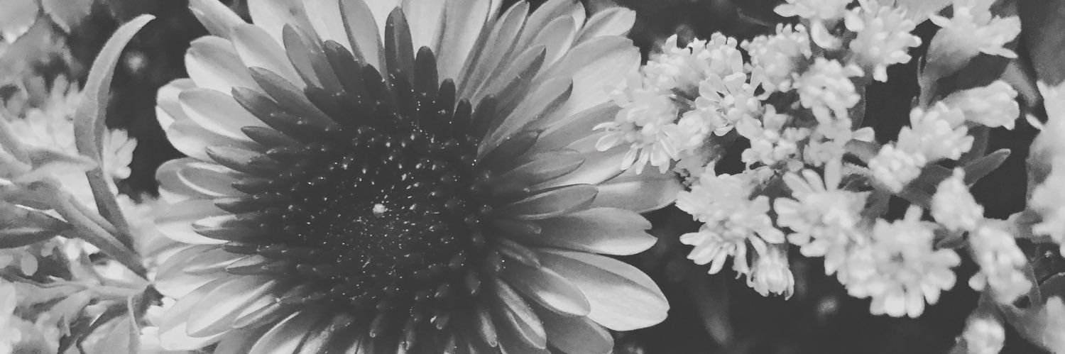 Haley banner