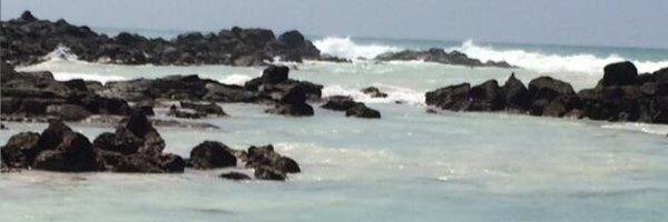 ssantamariab Profile Banner