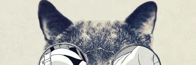 FaridaNdaa's profile banner image