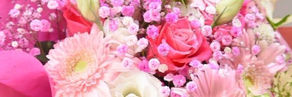 withkabosu Profile Banner