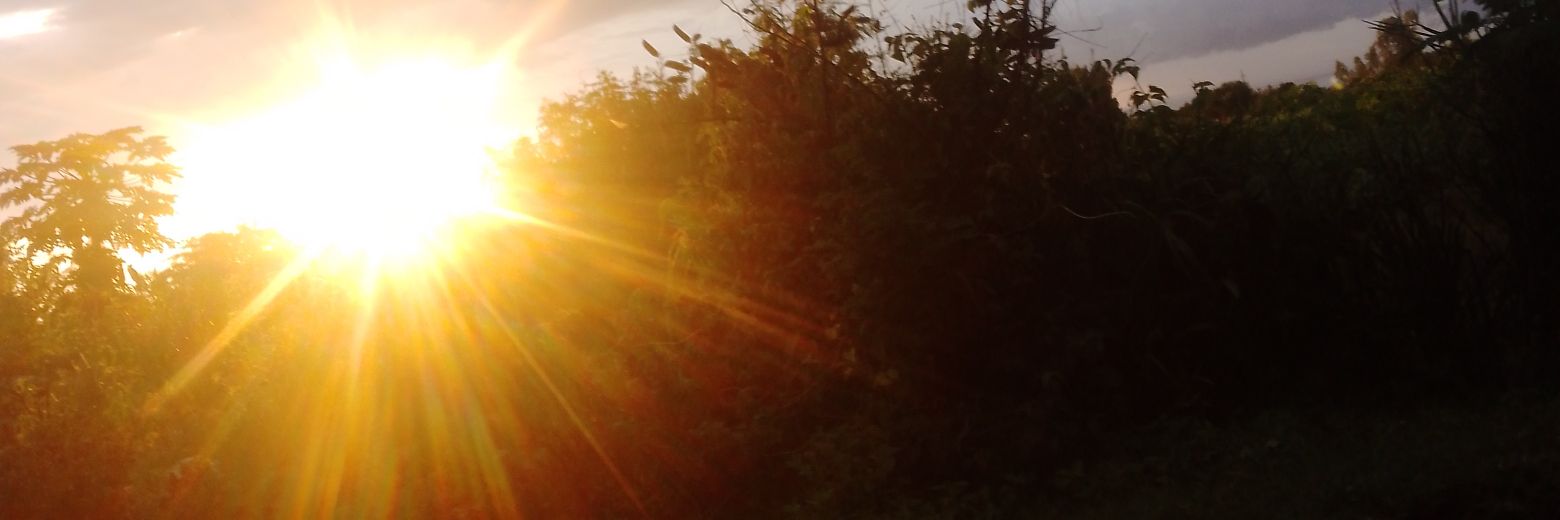 9teen:84 banner
