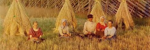 Chrysoelephantino banner