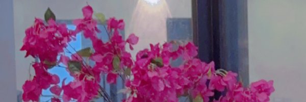 p6_96 Profile Banner