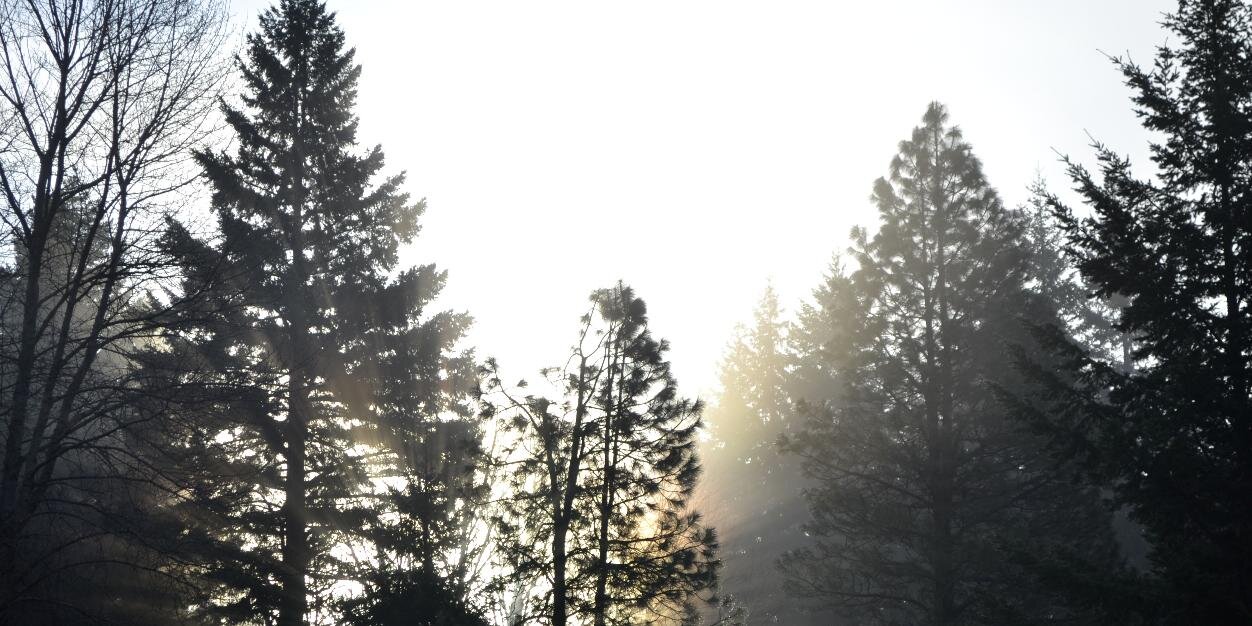 anendlesslife's profile banner image