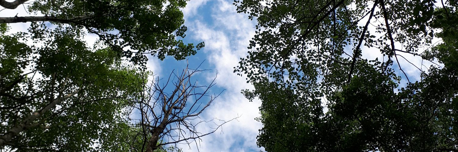 BaileyMacP's profile banner image