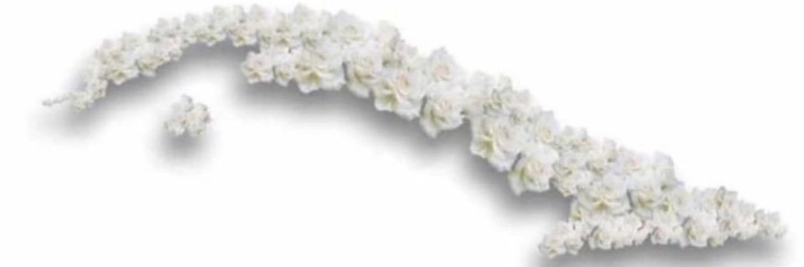 EGDeedy's profile banner image