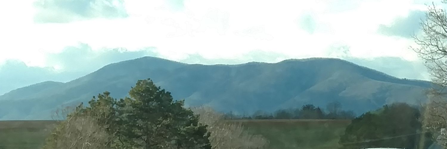 enelson26's profile banner image