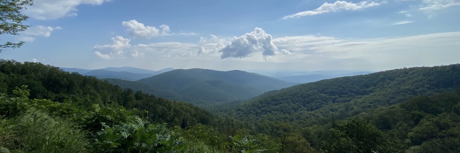 Emma Schwartz banner