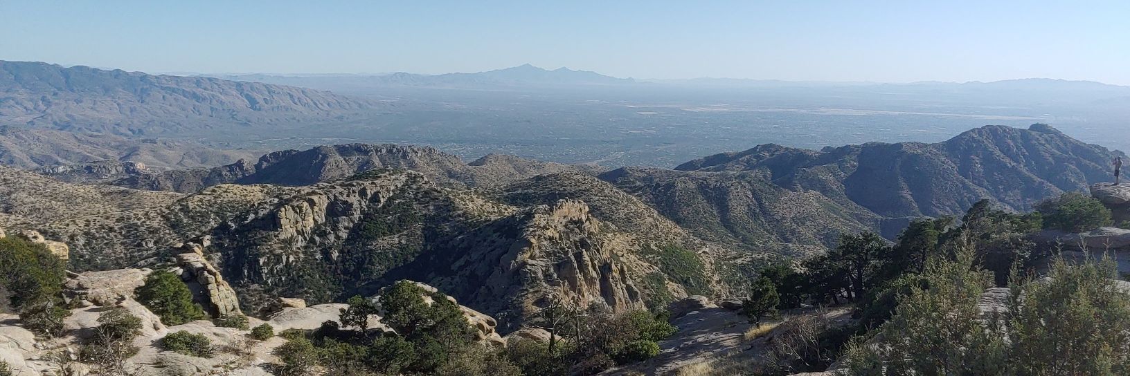 Wulfhera's Eagan banner