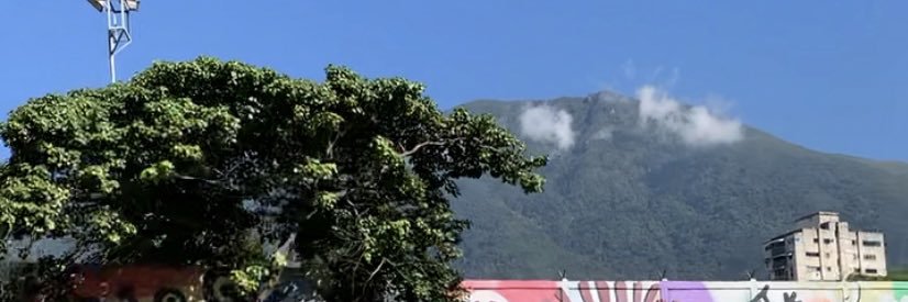 Maru Morales P. banner