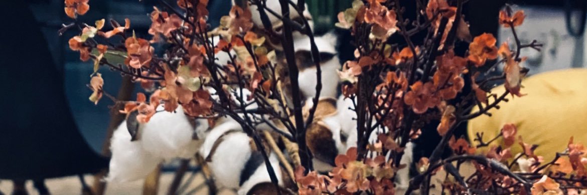 sleem1418's profile banner image