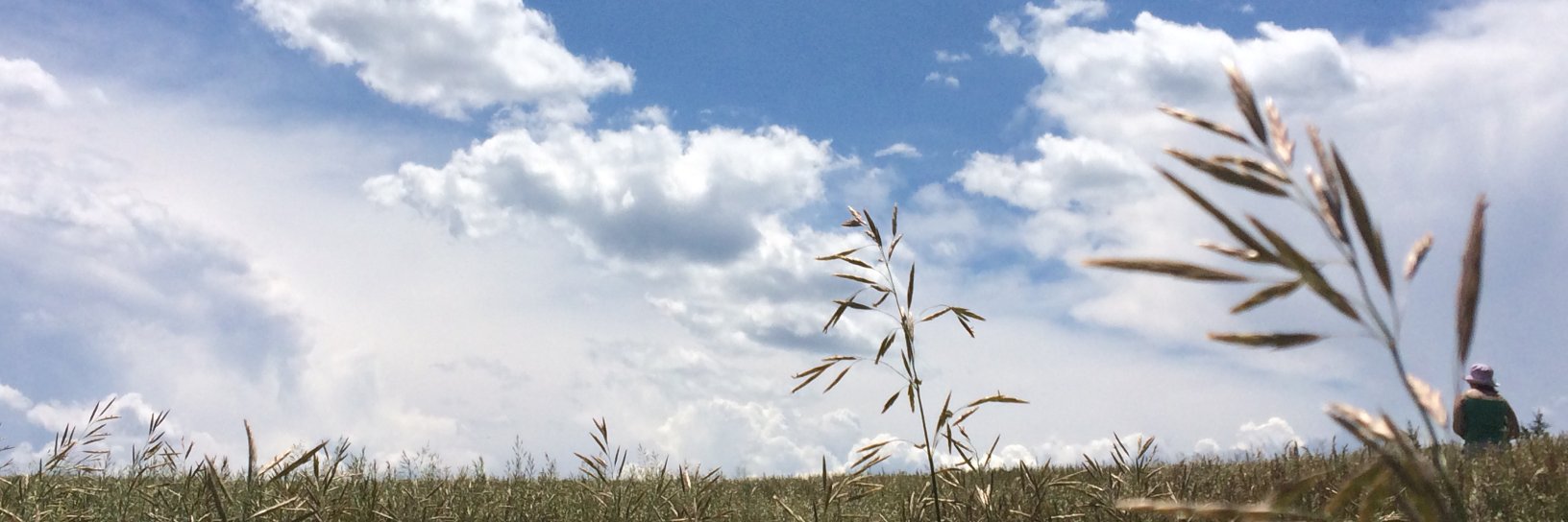 cleduke's profile banner image