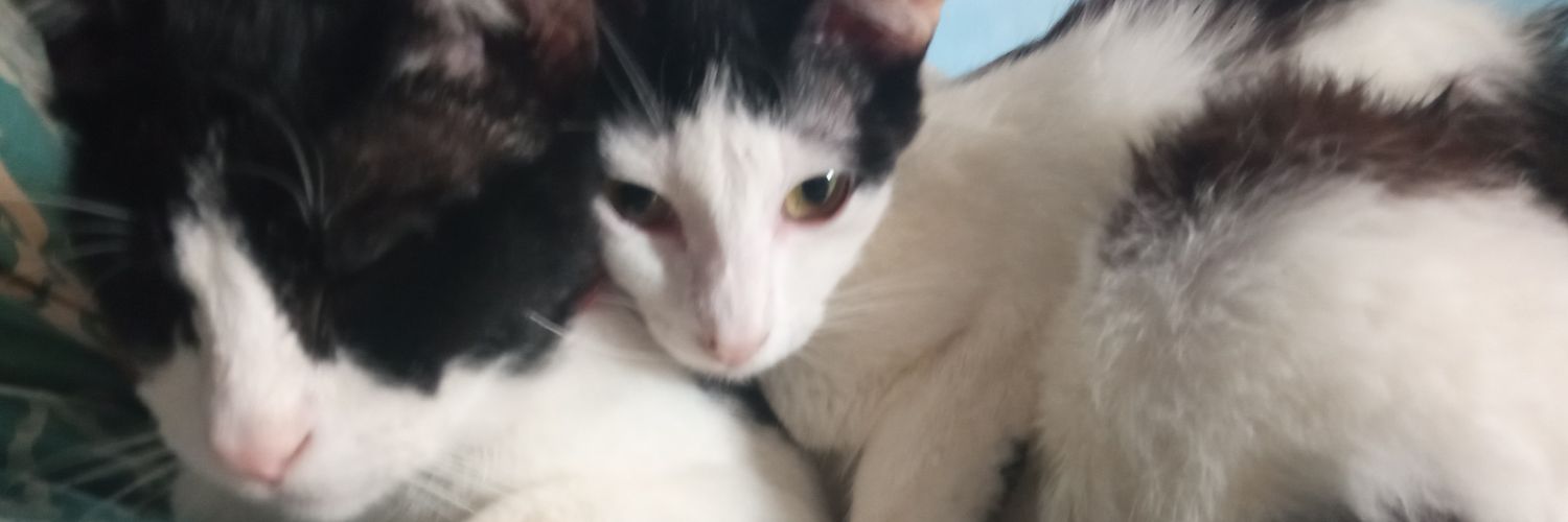 ronsplaga's profile banner image