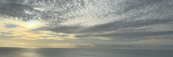 damson29 Profile Banner