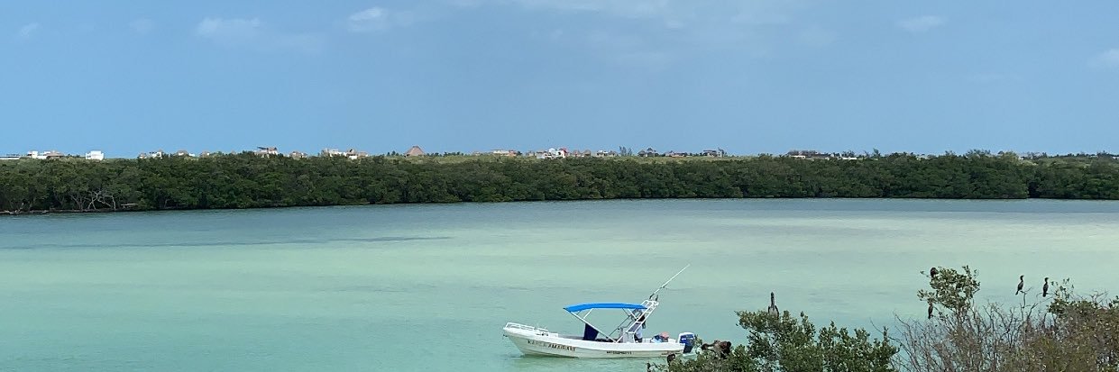 mdmhidalgo97's profile banner image