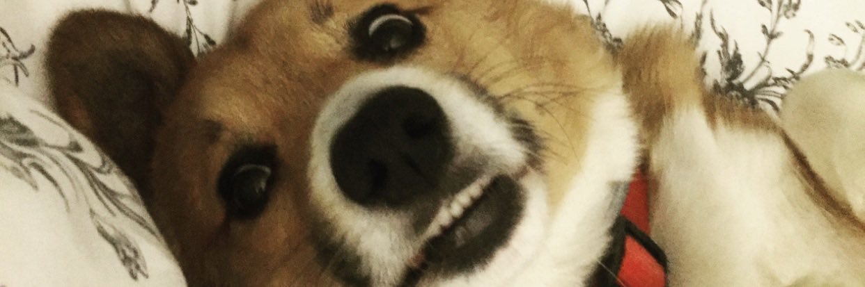 akcberry's profile banner image