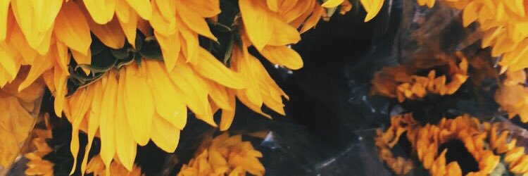 bathbombfranta's profile banner image