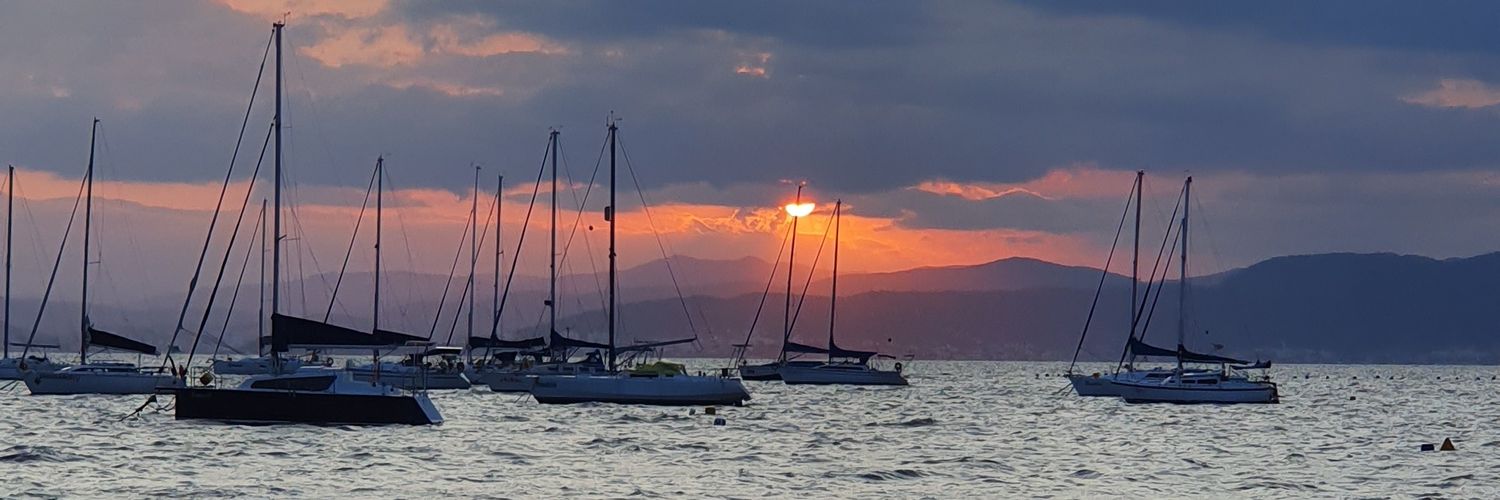 Ânderson Silva banner