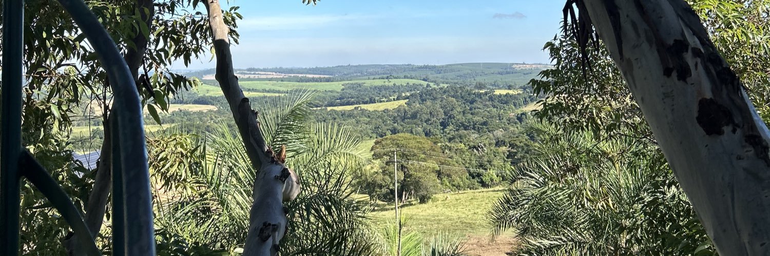 podpara's profile banner image
