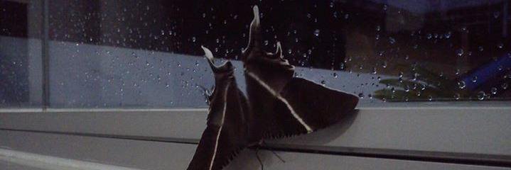 JuniAnggrainiSiregar banner