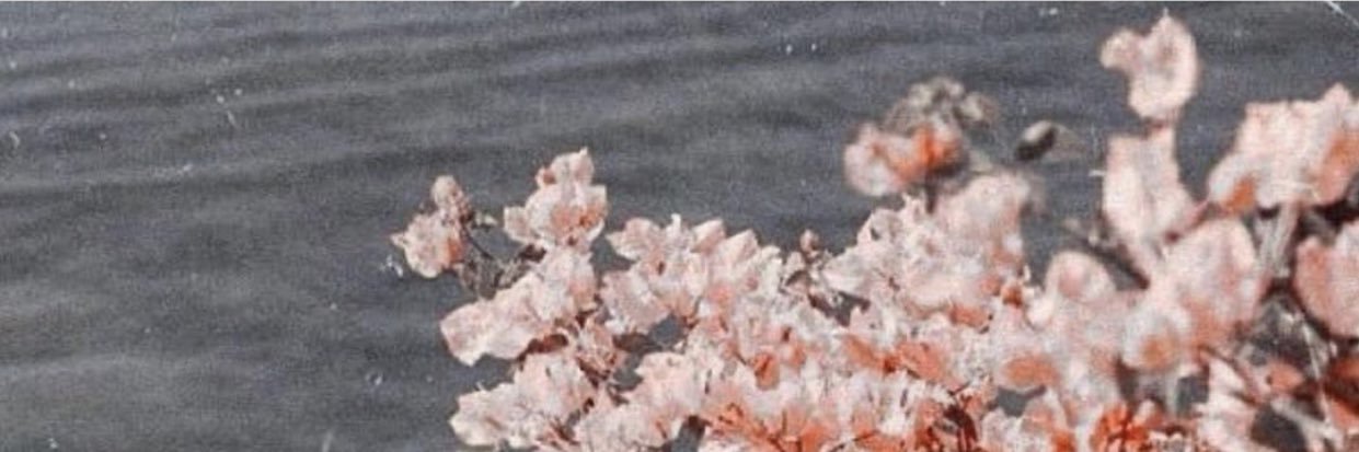 sem_446's profile banner image