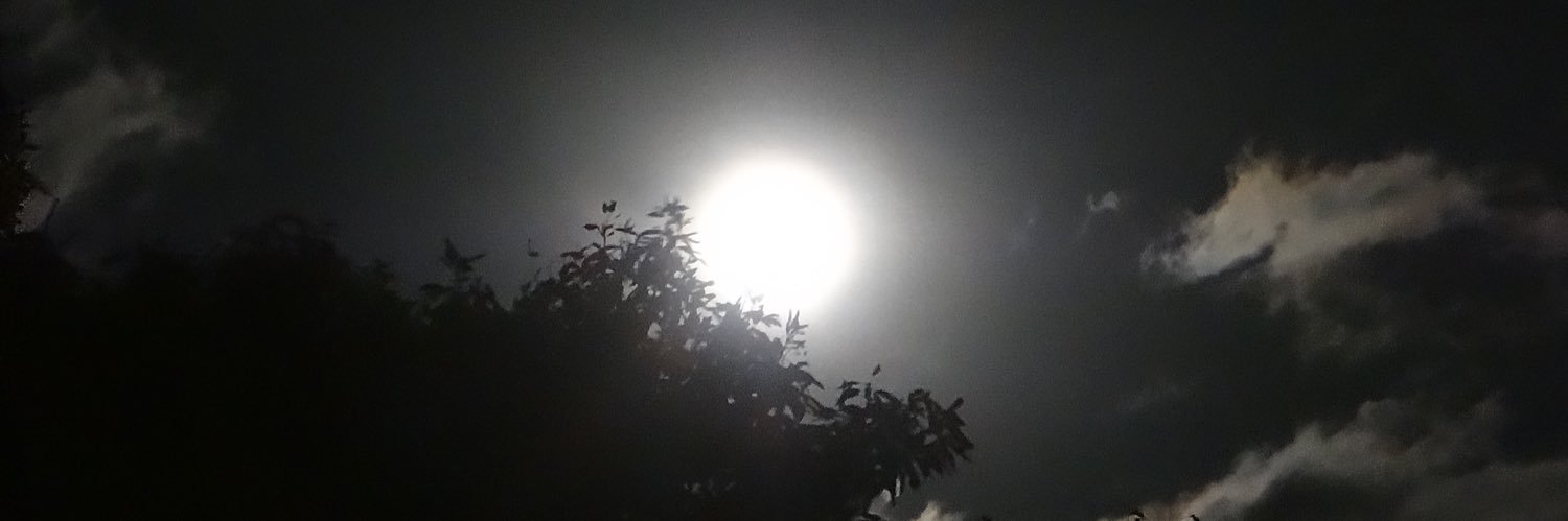 ferrnandance's profile banner image