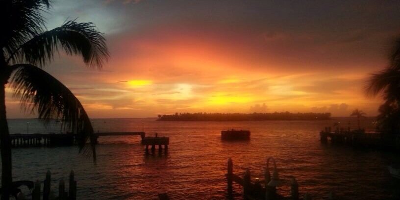 Michelle Spillane banner