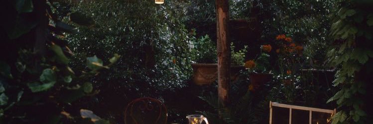xxxnutingwrong's profile banner image