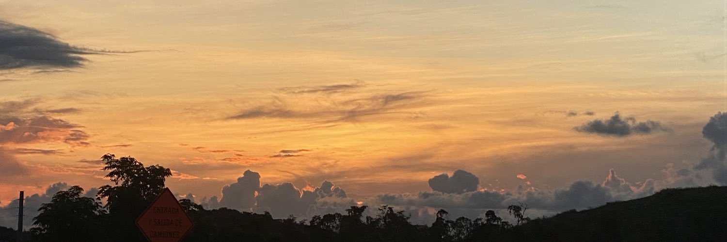 joycevega_'s profile banner image