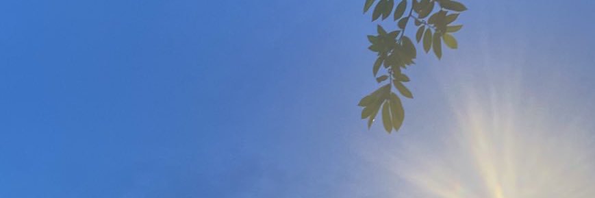 𝒫𝓂𝓎 banner