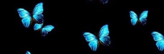shaykanuch's profile banner image